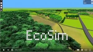 EcoSim