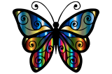Vlinder met veelkleurige vleugels