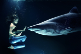 vrouw en haai in water