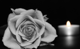 een roos en een kaars in zwart-wit